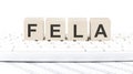 Federal employers liability act FELA text on wooden block Royalty Free Stock Photo