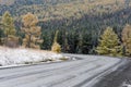 Federal highway M-52 Chuysky tract, asphalted road with markings among the autumn trees covered with snow. Royalty Free Stock Photo