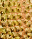 Federation of Thai durian texture background Royalty Free Stock Photo
