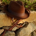 Fedora hat and bullwhip Royalty Free Stock Photo