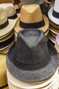 Fedora Hats Royalty Free Stock Photo