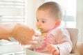 Feed newborn weaning Royalty Free Stock Photo