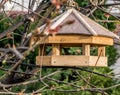 Feeder for birds on the branch