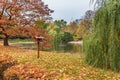 Feeder for the birds in Saxon Garden in Warsaw Royalty Free Stock Photo