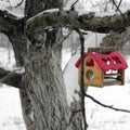 Birdhouse. Feeder for birds on a tree in winter