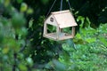 Feeder for birds under the vineyard