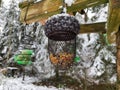 Feeder for birds in winter.