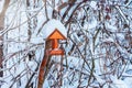 Feeder for birds in the winter park, titmouse eats food Royalty Free Stock Photo