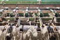 Feeder of a line of sawmill equipment inside a modern lumber mill Royalty Free Stock Photo