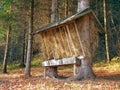 Feeder prepared for animals in Slovak forest