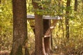 Feeder for wild animals Royalty Free Stock Photo