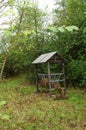 Forest feeder for wild boars