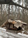 Feeder for winter feeding of birds. Birdhouse on a tree for squi Royalty Free Stock Photo