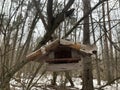 Feeder for winter feeding of birds. Birdhouse on a tree for squirrels and animals. Homemade bird house in the forest Royalty Free Stock Photo