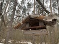 Feeder for winter feeding of birds. Birdhouse on a tree for squirrels and animals. Homemade bird house in the forest Royalty Free Stock Photo