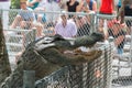 Feeding an alligator Royalty Free Stock Photo