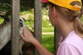 Feeding animals Royalty Free Stock Photo