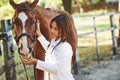 Feeding by apple. Female vet examining horse outdoors at the farm at daytime Royalty Free Stock Photo