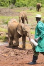 Feeding Baby Elephants in Nairobi, Kenya, editorial Royalty Free Stock Photo