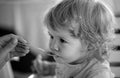 Feeding baby. Mother giving healthy food to her adorable child at home. Royalty Free Stock Photo