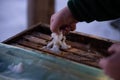 Feeding bees with additional treatment made of sugar to replenish food reserves