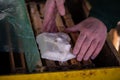 Feeding bees with additional treatment made of sugar to replenish food reserves