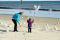 Feeding birds at the beach