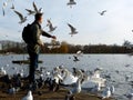 Feeding birds in Hyde park,London