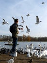 Feeding birds in Hyde park,London