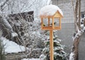 Feeding blue tits with sunflower seeds from a wooden chalet style open sided wild bird platform feeder in the backyard of a house Royalty Free Stock Photo