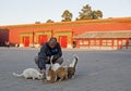 Feeding Cats