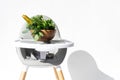 Feeding chair, bowl with greens, vegetables, salad, cucumbers, onion, broccoli on white background. Organic vegan
