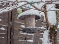 Feeding column Bird feeding in winter