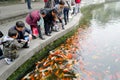 feeding fish