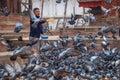 Feeding flock of pigeons in Nepal