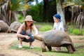 Feeding Giant Turtle Royalty Free Stock Photo
