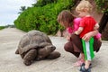 Feeding giant turtle