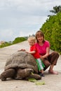 Feeding giant turtle