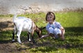 Feeding goat 7 Royalty Free Stock Photo