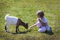 Feeding goat 9 Royalty Free Stock Photo