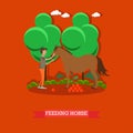 Feeding horse vector illustration in flat style