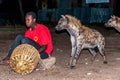 Feeding hyenas