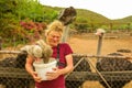 Feeding Ostriches Oudtshoorn