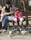 Feeding pigeons