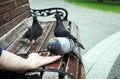 Feeding pigeons from hand in a city Park Royalty Free Stock Photo