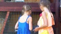 Feeding rabbit. Little girls feeding farm domestic rabbits with fleawort leaf