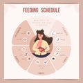 Feeding schedule in the first year of life. Baby food infographic. Young mother nursing newborn baby. Vector Royalty Free Stock Photo