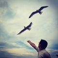 Feeding seagulls Royalty Free Stock Photo