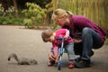 Feeding squirrel