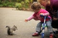 Feeding squirrel